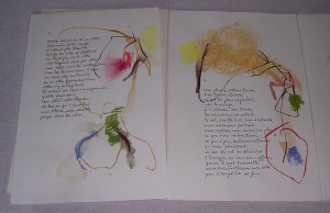 4_dscn3479