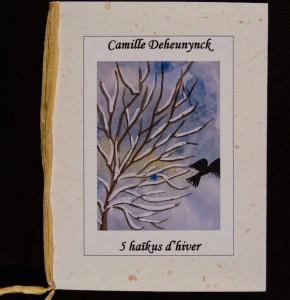 camd1_1