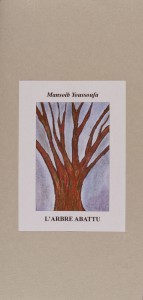 mansoib1