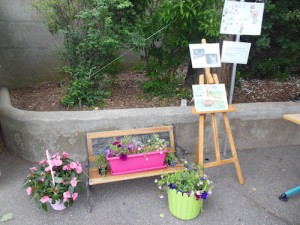 dscn0549_1