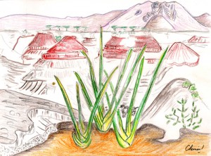 dessin-gorge_oldupai01