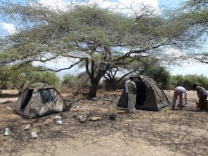 muz-campement01