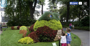 Le Supercousiflor dans le jardin botanique de Nantes