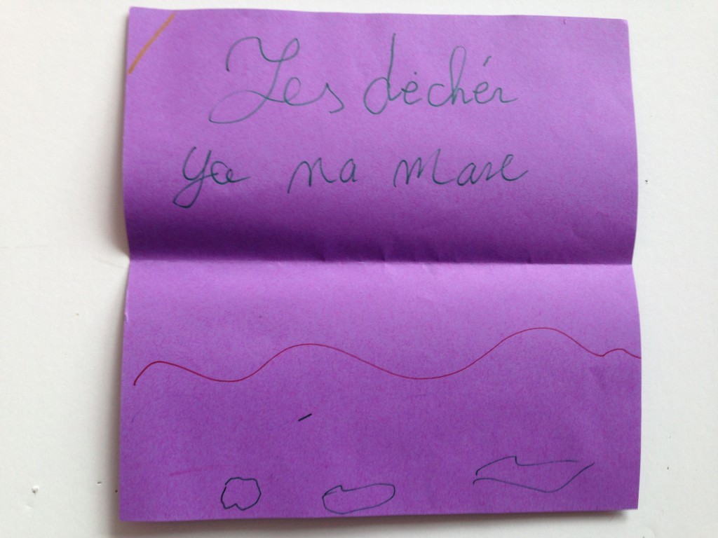 les dechets y en marre2
